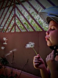 Cropped image of girl blowing dandelion seeds