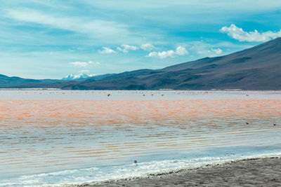 Scenic view of beach against cloudy sky