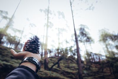 Midsection of person holding umbrella against trees