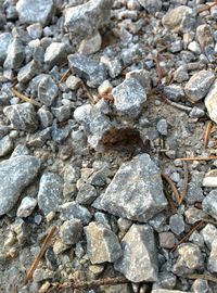 Full frame shot of stones