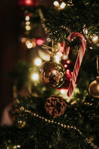 Close-up of christmas decorations hanging on tree