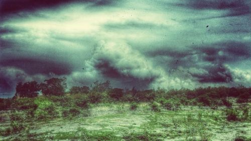 Scenic view of field against cloudy sky