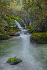 Stream flowing through rocks in forest