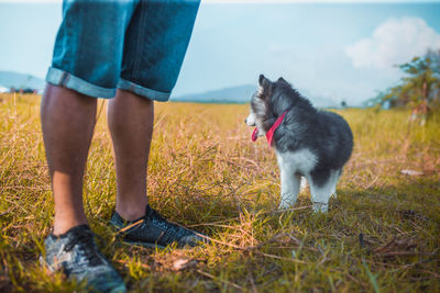 Low section of person standing on land