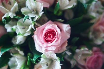 Close-up of rose bouquet