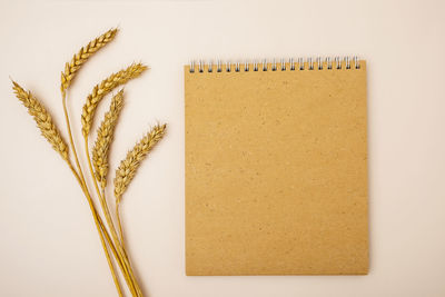 Close up top view mockup template ears of ripe wheat and recycled paper notepad on light background.