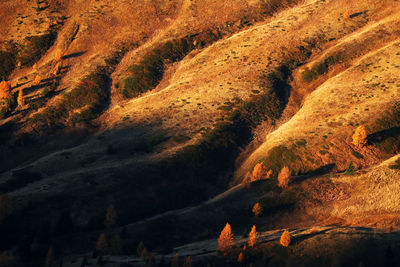High angle view of land