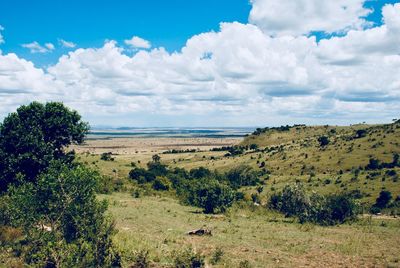 Scenic view of landscape against sky