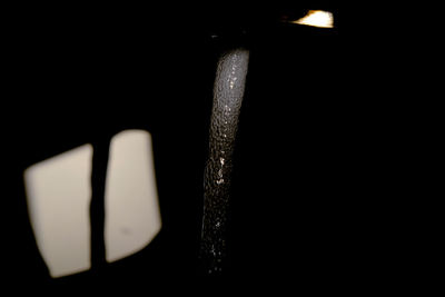 Close-up of leaf against black background