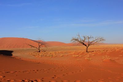 Scenic view of desert against blue sky