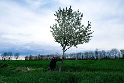 Tree on field against sky