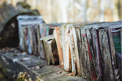 Library.  old books installation in the forest