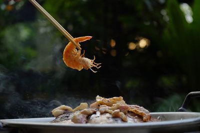 Thailand style bbq grill on a charcoal fire that is located on the bottom with pork, shrimp, squid 