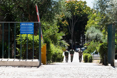 People walking on road by trees in city