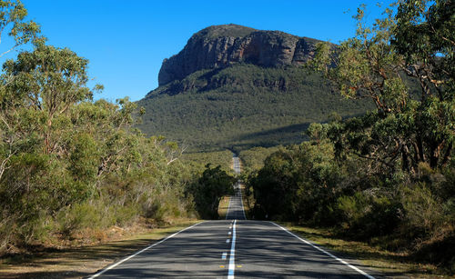 Sealed road running through forest to mountain peak