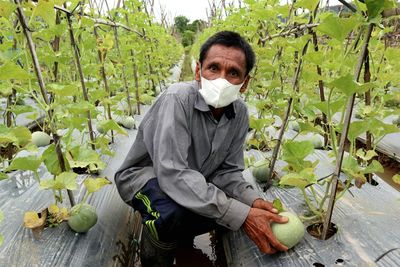 Portrait of man showing melon in his garden