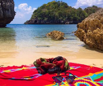 View of flower on beach