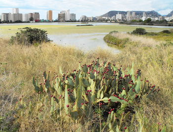 View of city at waterfront