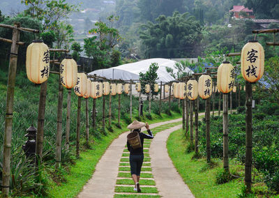 Rear view of woman walking on road amidst trees