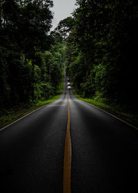 Empty road along trees