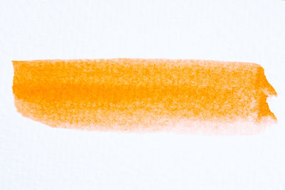 Close-up of orange against white background