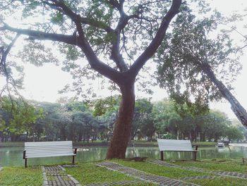 Park bench in park