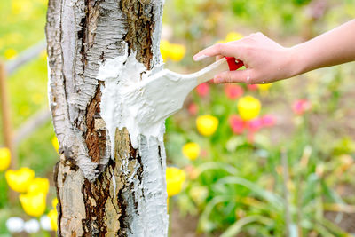 Close-up of hand on tree trunk
