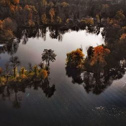 Reflection of trees on lake during autumn