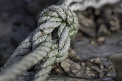 Close-up of rope tied up on wood