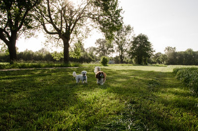 People on field by trees against sky