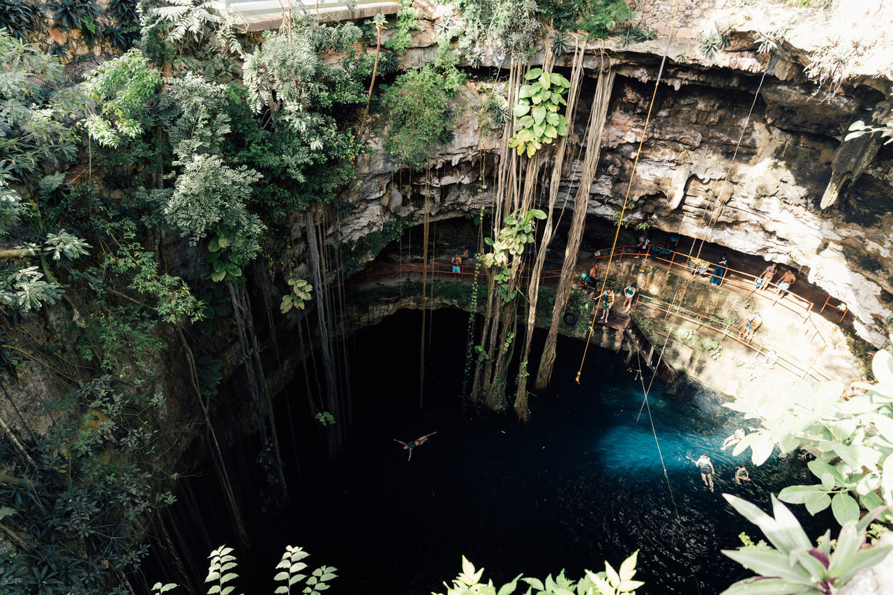 water, plant, cave, nature, tree, no people, architecture, growth, built structure, day, beauty in nature, jungle, outdoors, tranquility, bridge, river, flower, forest, high angle view