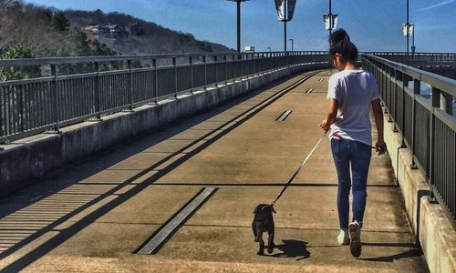Rear view of woman with dog walking on bridge