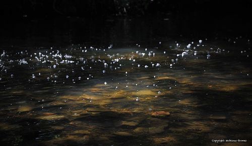 Scenic view of lake at night