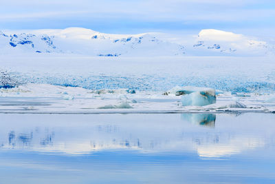 Scenic view of glacier swimming in sea against sky