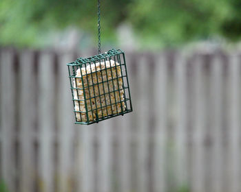 Close-up of cage suet feeder hanging 