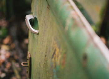 Close-up of old metal fence