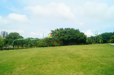 Trees on field against sky