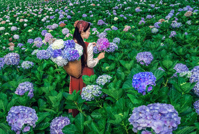 High angle view of woman standing by purple flowering plants