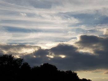 Low angle view of silhouette trees against sky during sunset