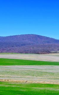 Scenic view of field against clear blue sky