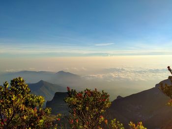 The beauty of mountains in indonesia
