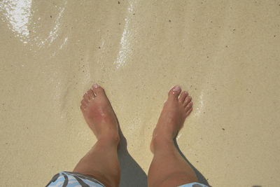 Low section of person standing on wet sand