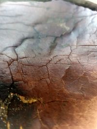 Close-up of cracked