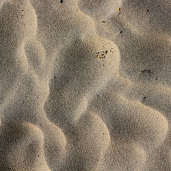 High angle view of footprints on sand