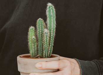 Close-up of hand holding plant