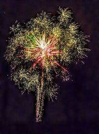 Low angle view of firework display at night