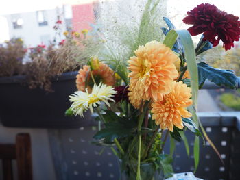 Close-up of flowers in vase