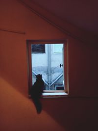 Man standing by window in building