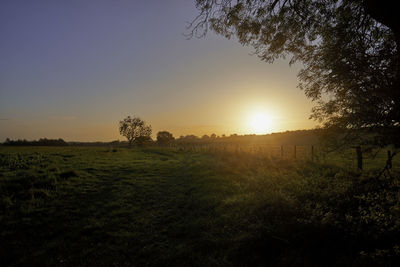 Scenic view of field against clear sky during sunset