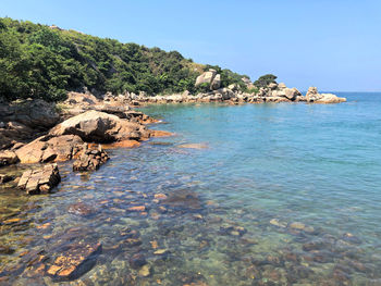 Scenic view of sea against clear sky